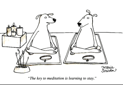 Meditation humor