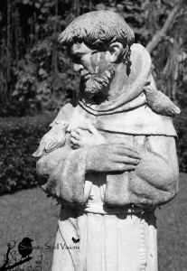 St. Francis watches over the critters in the gardens of the Ancient Spanish Monastery in Miami